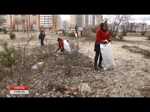 В регионе продолжается трудовая акция БРСМ «За дело» видео