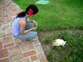Wabbit