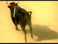 videos de BEYOND THE CRETE ATLANTIS MYSTERY - 4