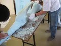 プテラノドン