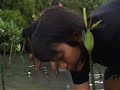 TELAAH: Save Our Coastal Environment ASTRO TV KeSEMaT