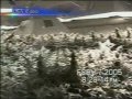 TOKE-TV-Marijuana-Bu