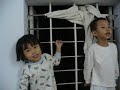 P1040101 P1040101