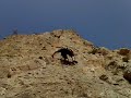 EL PRIMO INTENTANDO ESCALADA EN \"L\
