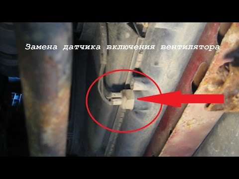 YouTube Трейлер