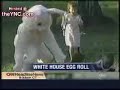 Whitehouse Egg Roll Whitehouse Egg Roll