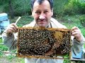 bursadan aldığımız arılar