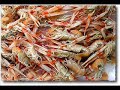60 Kilo Scampi Verkehr - Toni PART I I