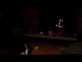 Video 13
