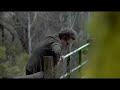 trailer for \"My Effortless Brilliance\" trailer for \"My Effortless Brilliance\"