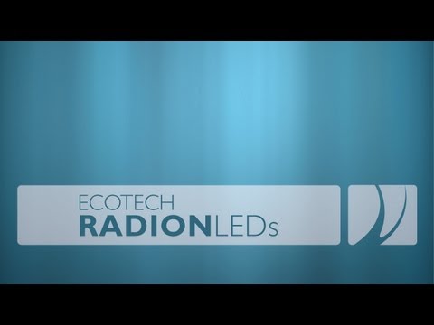 Dave @ Vivid Aquarium discusses his experience using Radion LEDs Dave @ Vivid Aquarium discusses his experience using Radion LEDs