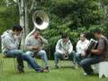 videos de TOCATA  STA  CATARINA