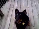 Adopt Ursula Adopt Ursula