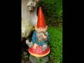 Chedda Cheese - Gnomes (T-Pain & Flo Rida - Low Parody)