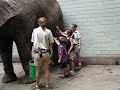 Elephant Encounter Jalowsky 2