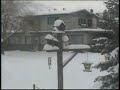 Season Cretins - Merry Christmas - plus some birds