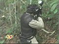 K1 Kampo Extremo en Telepacifico K1 Kampo Extremo en Telepacifico
