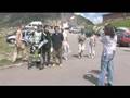 SWISSPASS 3 OBERRARD jean yves blondeau buggy rollin