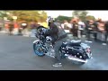 Hogg Mania 2 official trailer
