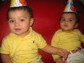 the twins