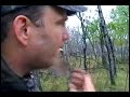 Bull elk hunt