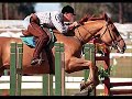 Show Jumping Tribute Show Jumping Tribute