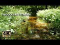 ⭐️ NATURE SOUNDS FOR 1 HOUR - RELAXING WOODLAND STREAM - ..