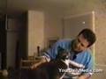 Talking cats