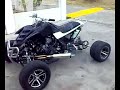 Re: Yamaha Raptor 1000cc