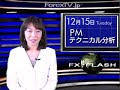 PMテクニカル分ਜ਼...