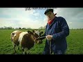 Multipop Commercial