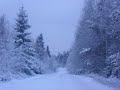 Winter Wonderland - The Eurythmics