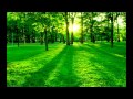 Telemann - Tafelmusik 2 part 4, Quatuor in D minor