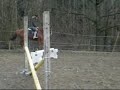 Hoppning 20/2 08