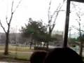 ソウル大公園で遊ぼう 3/30_1/trip to South Korea08 KEN3TV(10)