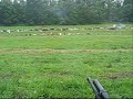50 bmg Spoter Tracer shot at a car Video from Bullet fest 7