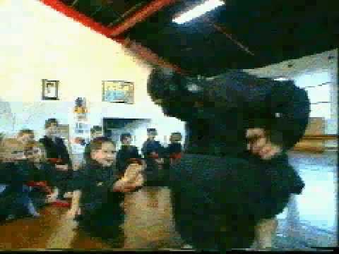 Birthday party Ninja Karate theme