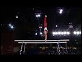 Alexander Artemev on Parallel Bars at 2008 Pacific Rim