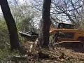 Ornamental Landscaping