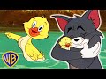 Tom & Jerry | Best of Little Quacker | Classic Cartoon Compilation | WB Kids Tom & Jerry | Best of Little Quacker | Classic Cartoon Compilation | WB Kids