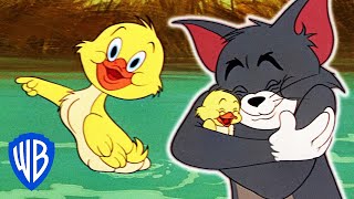 Tom & Jerry  Best of Little Quacker  Classic C