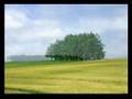 Y�lmaz Erdo�an   Sana Bakmak