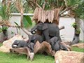 THAILANDE VACATION RENTAL #2 THAILANDE VACATION RENTAL #2