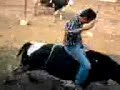 CBTa 67 Bull Extreme