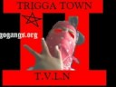 ALMI9HTY VICE LORD NATION