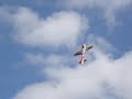 Flap Flap