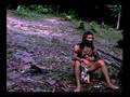 GUERREIRO DA FLORESTA (TRAILER)