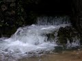 Pluja intensa a Berga, nobembre 2008