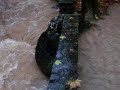 Pluja intensa a Berga, nobembre 2008