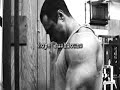 Animal Pak, Arms Part Two Animal Pak, Arms Part Two